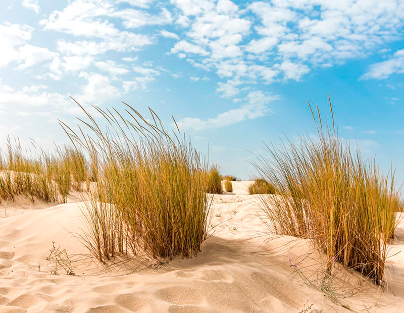 dunas-eventos