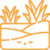 swamp