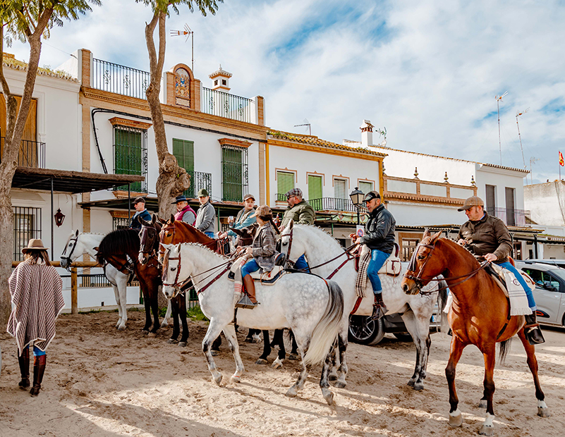 caballos2