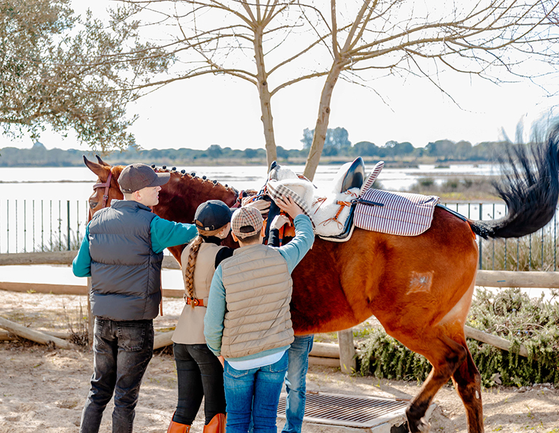 caballos3