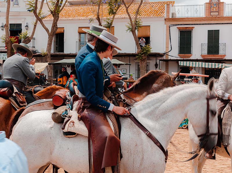 experiencias-caballos3